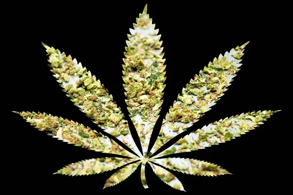 Marijuana Leaf Silhouette Svart Bakgrund — Stockfoto