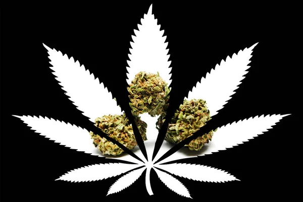 Marijuana Leaf Silhouette Black Background — Stock Photo, Image