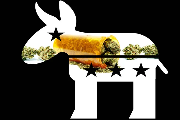 Burro Democrata Maconha Pro Cannabis Forma Com Imagem Fundo Preto — Fotografia de Stock