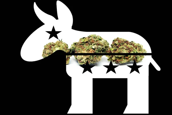 Demokrat Åsna Pro Marijuana Och Cannabis Form Med Bild Och — Stockfoto
