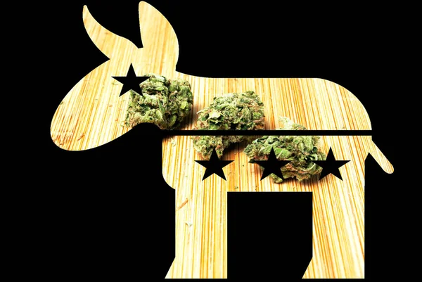 民主党ロバ プロマリファナと大麻 画像と黒の背景を持つ形状 — ストック写真