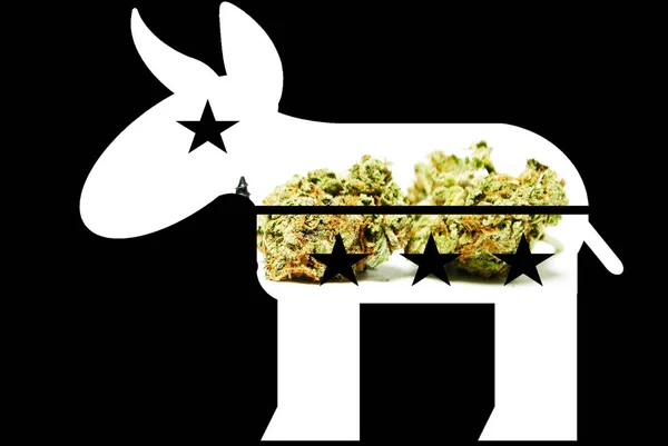 民主党ロバ プロマリファナと大麻 画像と黒の背景を持つ形状 — ストック写真