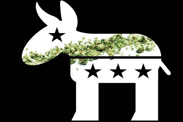 Burro Demócrata Marihuana Pro Cannabis Forma Con Imagen Fondo Negro — Foto de Stock