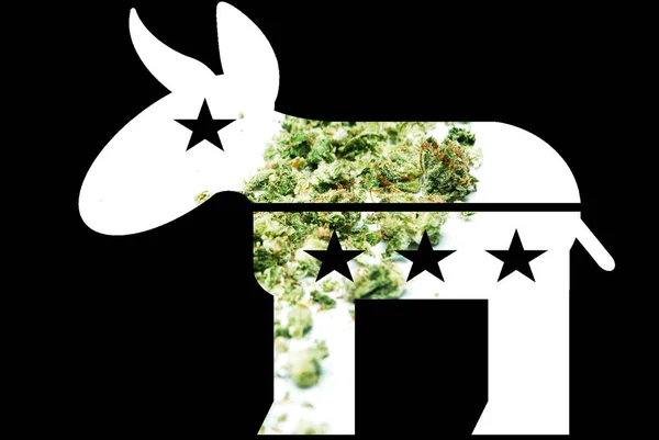 Burro Demócrata Marihuana Pro Cannabis Forma Con Imagen Fondo Negro — Foto de Stock