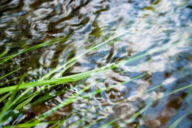 Yeşil otile akarsu suyu