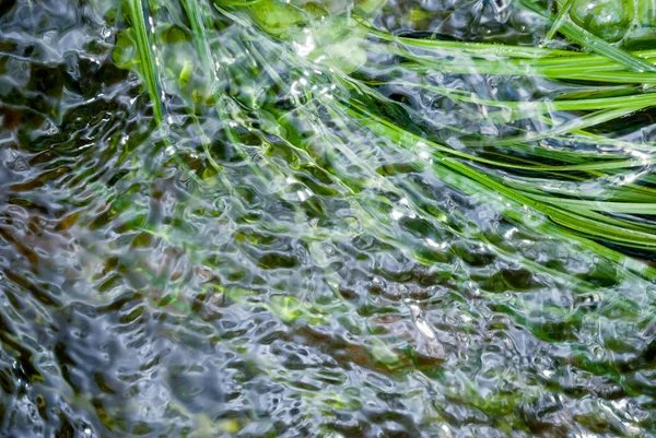 Água Corrente Com Grama Verde — Fotografia de Stock