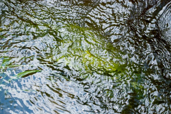 Água Corrente Com Grama Verde — Fotografia de Stock