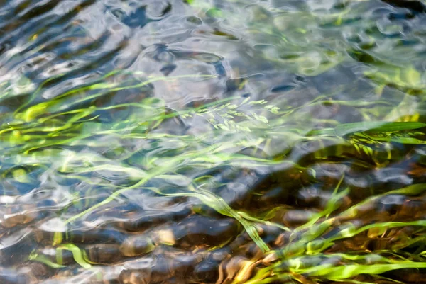 Strömma Vatten Med Grönt Gräs — Stockfoto