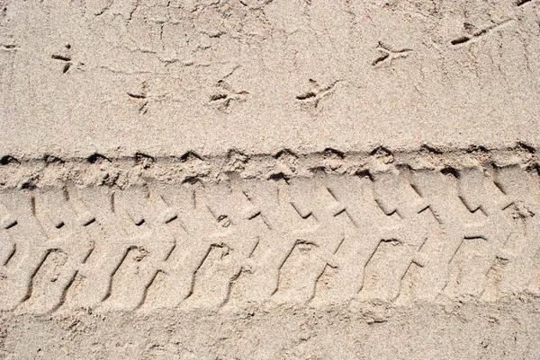 Колесная Дорожка Песчаной Текстуре — стоковое фото