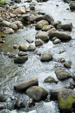 nehirdeki kayaların üzerinde hızla hareket eden berrak su