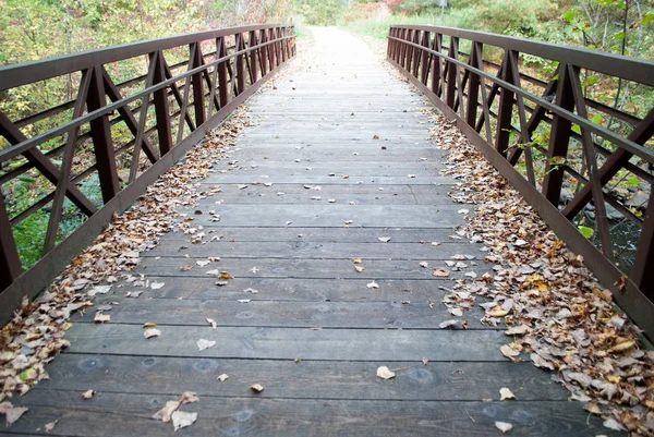 Wooden Bridge Dried Leaves Ground — Stock Photo, Image