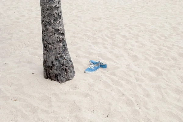 Beschädigter Palmenstamm Sandstrand Mit Blauen Turnschuhen — Stockfoto