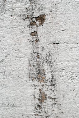 Sıkıntılı grungy çimento yüzeyi