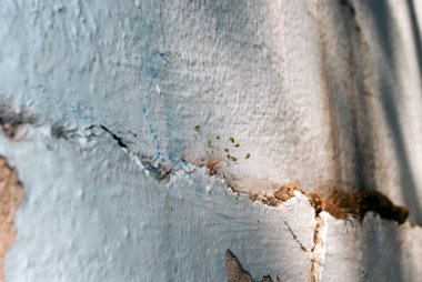 Sıkıntılı grungy çimento yüzeyi