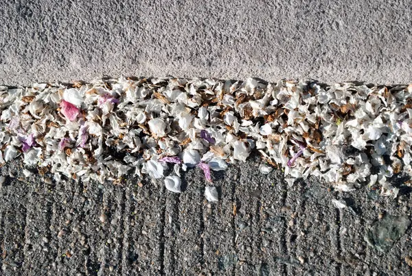 Strada Asfaltata Con Foglie Fiori Secchi Sul Bordo — Foto Stock