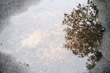 Yansıma ile yağmur dan sonra ıslak asfalt yol