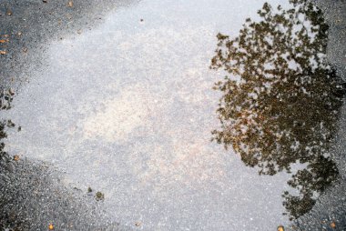 Yansıma ile yağmur dan sonra ıslak asfalt yol