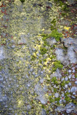 Sıkıntılı grungy çimento yüzeyi