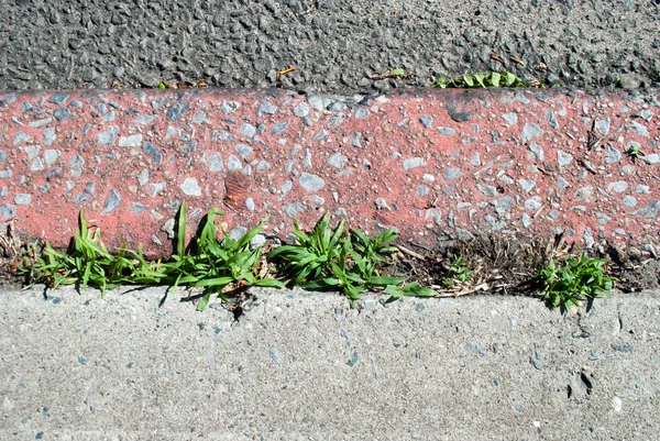 Grunge Distressed Asphalt Surface — Stock Photo, Image