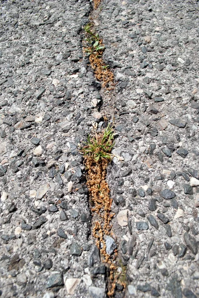 Grunge Distressed Asphalt Surface — Stock Photo, Image