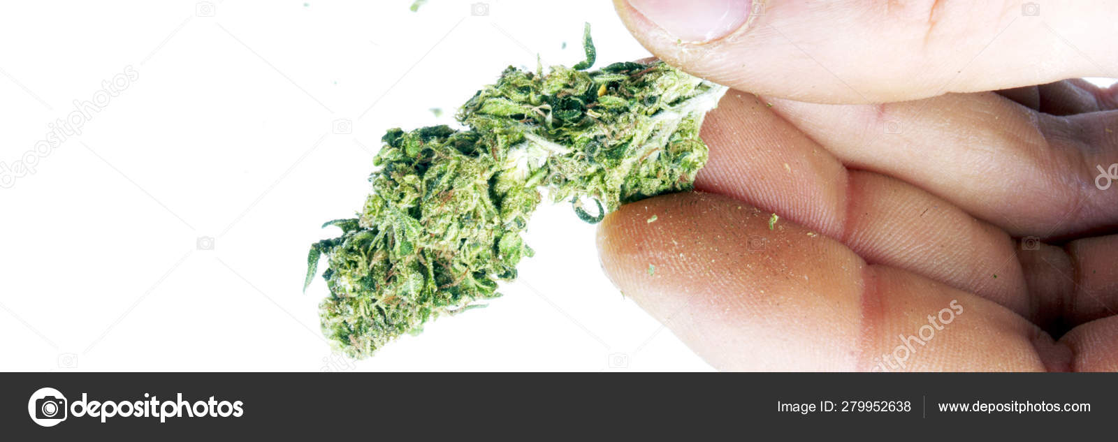 大麻图库照片 免版税大麻图片 Depositphotos 大麻图库照片 免版税大麻图片 Depositphotos