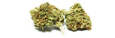 Marihuana ilaçlar hala yaşam beyaz arka plan izole