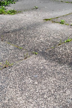 İşaretli dokulu yol yüzeyi