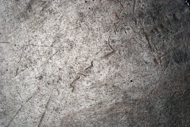 İşaretli dokulu yol yüzeyi