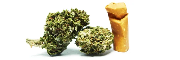 Marihuana Drogas Bodegón Aislado Sobre Fondo Blanco —  Fotos de Stock