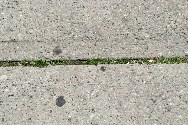 Textured Road Surface Marks — Stock Photo, Image