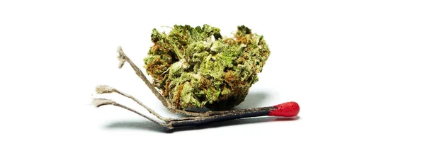 大麻写真素材 ロイヤリティフリー大麻画像 Depositphotos