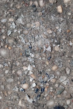 İşaretli dokulu yol yüzeyi