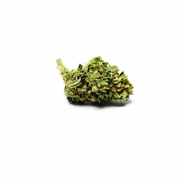 Single Cannabis Bud Witte Achtergrond — Stockfoto