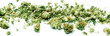 Beyaz arka plan üzerinde izole kurutulmuş dağınık marihuana Hattı