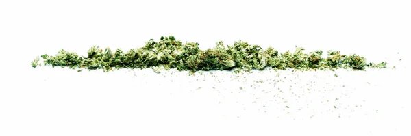 Lijn Van Gedroogde Verspreide Marihuana Geïsoleerd Witte Achtergrond — Stockfoto