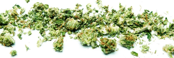 Lijn Van Gedroogde Verspreide Marihuana Geïsoleerd Witte Achtergrond — Stockfoto