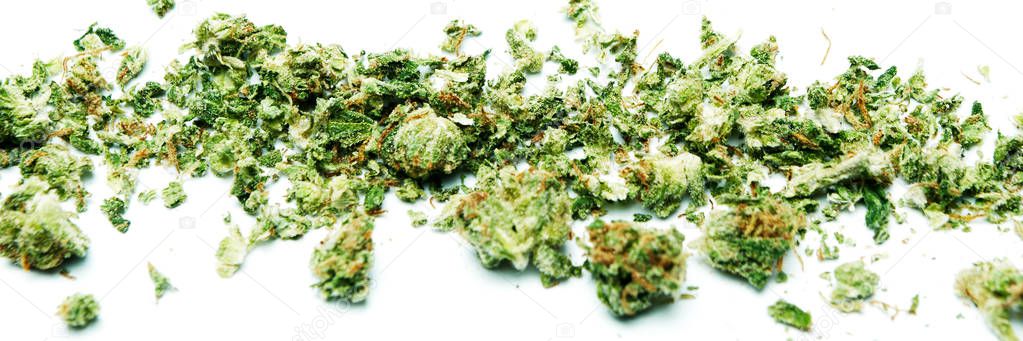Line of dried scattered marijuana isolated on white background