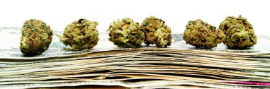 Dolar banknot yığınına yerleştirilen kurutulmuş marihuana tomurcukları