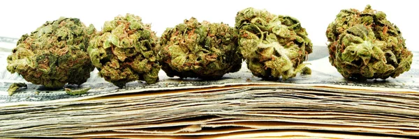 Dried Marijuana Buds Placed Stack Dollar Banknotes — Stock Photo, Image