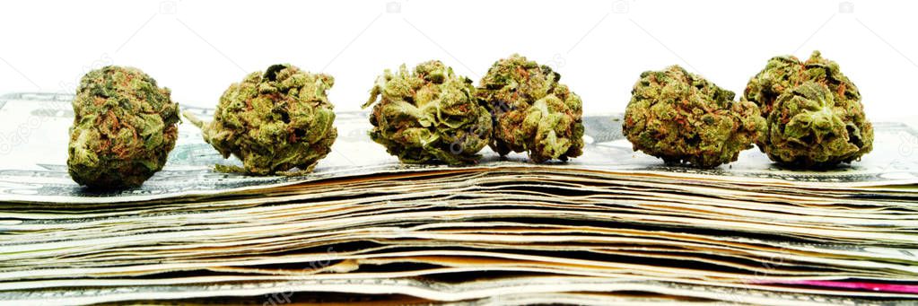 Dried marijuana buds placed on stack of dollar banknotes