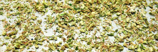 Chopped marijuana leaves scattered on surface, drugs background.