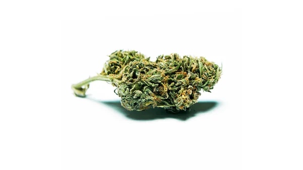 Vista Cortada Erva Seca Cannabis Isolada Fundo Branco — Fotografia de Stock