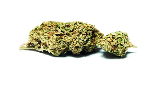 Vista Cortada Botões Secos Cannabis Isolados Fundo Branco — Fotografia de Stock