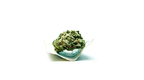 Bocciolo Cannabis Sulla Banconota Dollaro Isolato Sfondo Bianco — Foto Stock