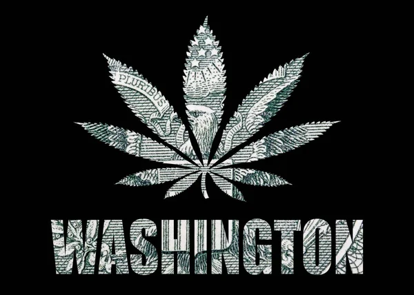 Póster Con Washington Marihuana Sobre Fondo Negro — Foto de Stock