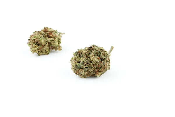 Marijuana Cannabis Fundo Branco — Fotografia de Stock