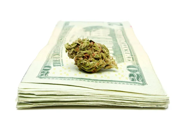 Marijuana Bud Dinheiro Fundo Branco — Fotografia de Stock