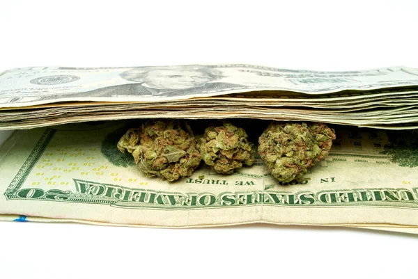 Marihuana Und Geld Aus Nächster Nähe — Stockfoto