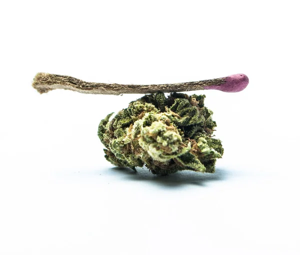 Maconha Cannabis Com Fósforo Sobre Fundo Branco — Fotografia de Stock