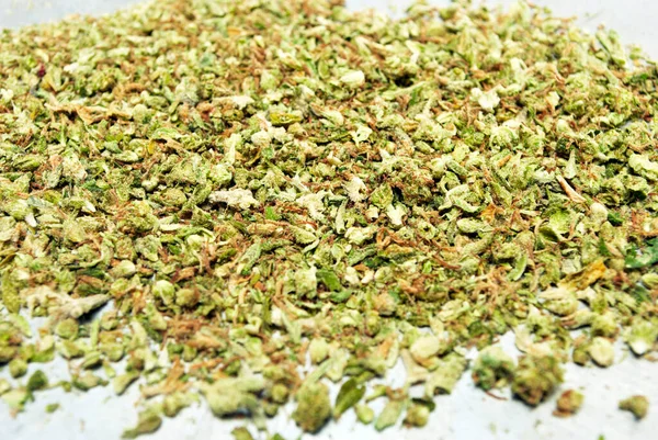 Marijuana Cannabis Shake Broken Dried Weed — Stock Photo, Image